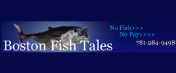 Boston Fish Tales